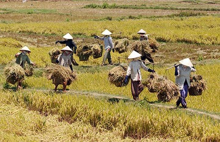 Hotspot Matrix: Biến Cặp đôi đóng mẹ con trên phim thành cơ hội marketing đột phá