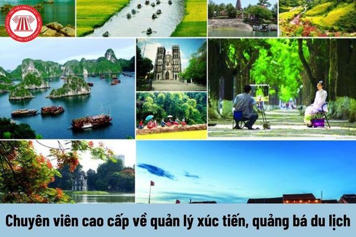 Hotspot Matrix và tầm quan trọng của sự nhạy bén với mọi người