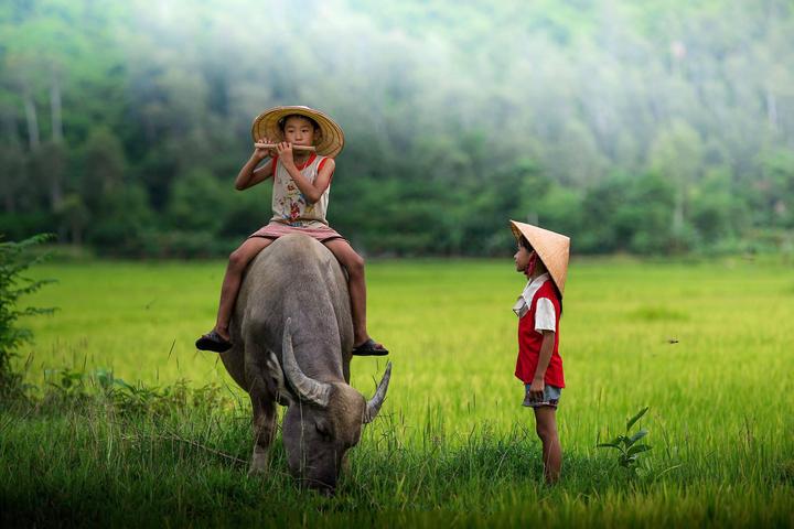 Xu hướng Những thứ đọng lại sau một: Hotspot Matrix tiết lộ bí quyết video viral