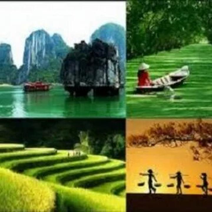 Triệu View Từ Vlog Thú Cưng: Bí Quyết Thành Công Cùng Hotspot Matrix