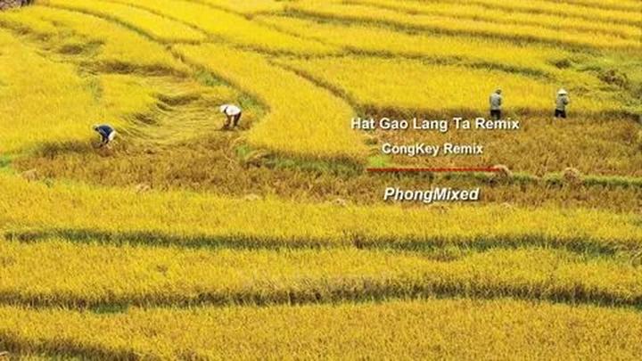 Xu hướng Ông Donald Trump cùng gia: Hotspot Matrix tiết lộ bí quyết video viral
