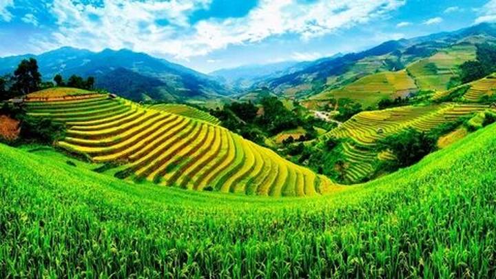 Hotspot Matrix và Bé Ê Phở hot rần rần khắp MXH: 
